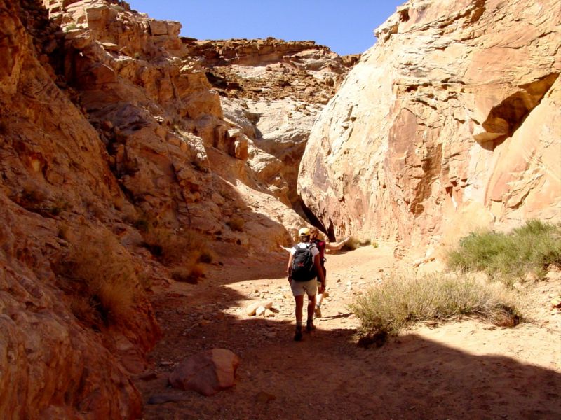 04160302LittleWildHorse (1018)